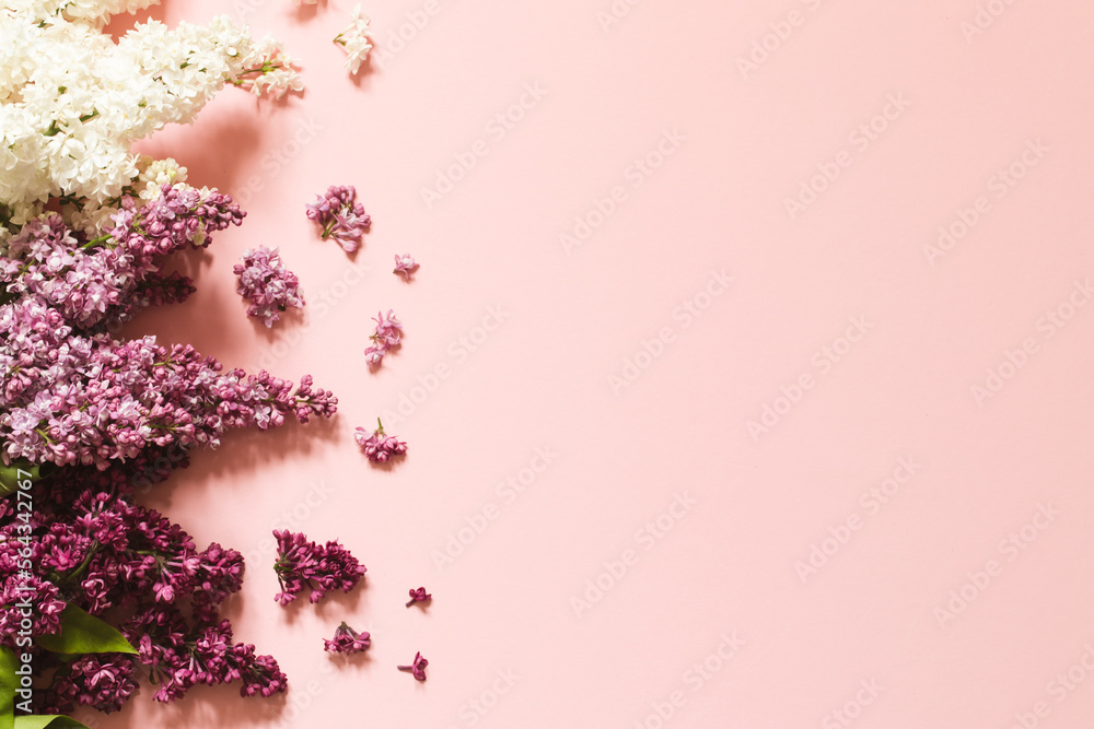 Spring Lilac flowers on pink background decorative border copy space flat lay Spring Lilac flowers on pink background decorative border copy space flat lay