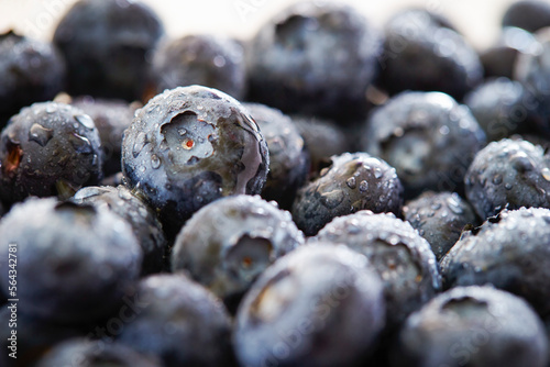 blueberries close up