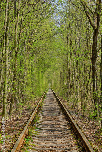 Wonder of Nature - Real Tunnel of Love, green trees and the railroad