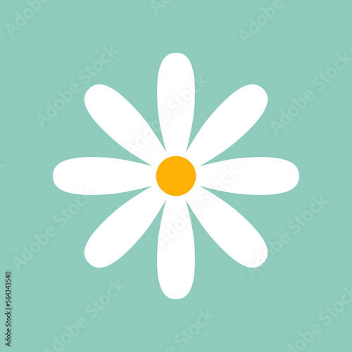 White daisy on mint background vector illustration. Cartoon drawing of camomile or chamomile with thin petals for decoration or pattern design. Blossom, spring flowers, summer, nature concept © PCH.Vector