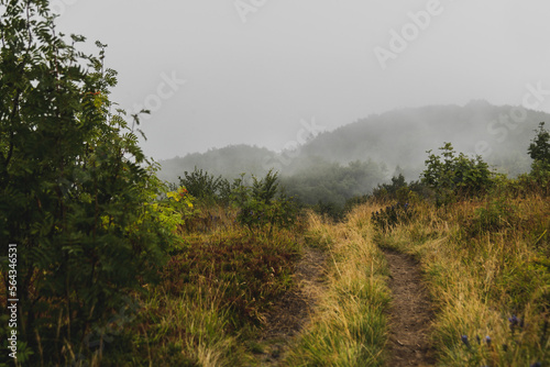 Fototapeta Naklejka Na Ścianę i Meble -  Widok na Bieszczady w mglisty poranek.