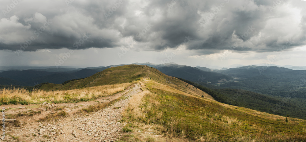 Panorama w Bieszczadach z Połoniny Caryńskiej. Ciemne burzowe chmury - obrazy, fototapety, plakaty 