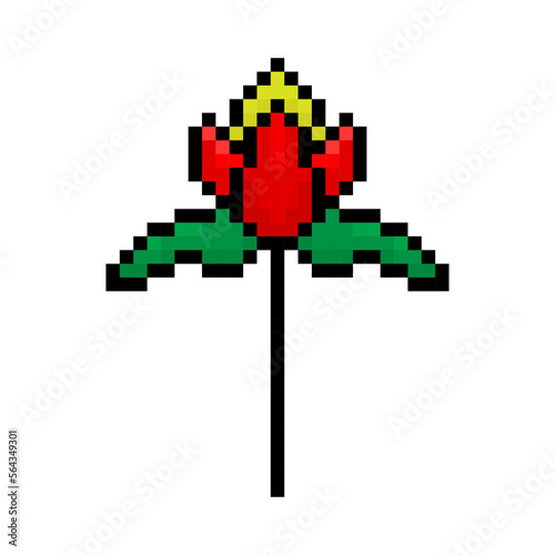 Beautiful pixel flower icon. Color silhouette. Vertical front side view. Editable pixels. Vector simple flat graphic illustration. Isolated object on a white background. Isolate.