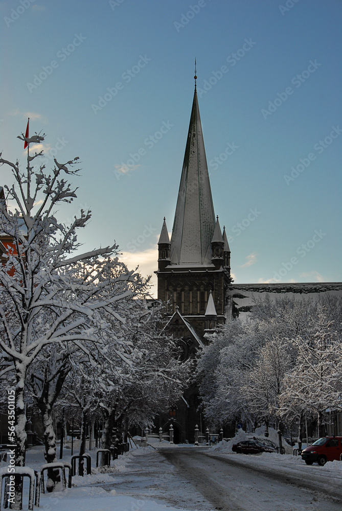 Nidarosdomen, cathedral in snow. Vertical.