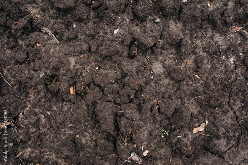 Soil, soil, earth, black soil close-up after digging. Photography, nature, background, texture.