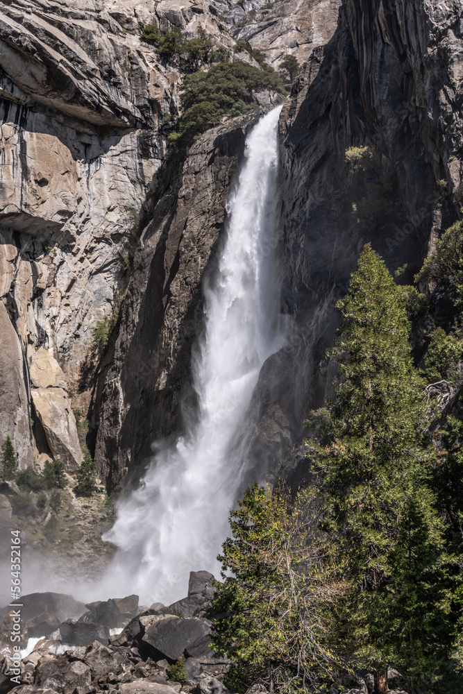 Obraz premium Lower Yosemite Falls