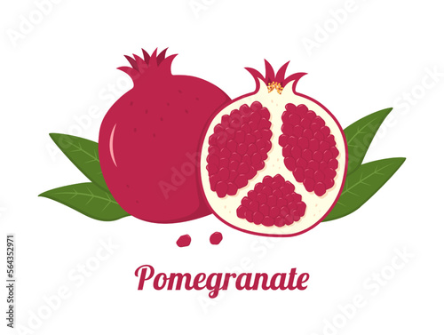 Ripe pomegranate whole, half with green leaves. Vector illustration in a flat style.
