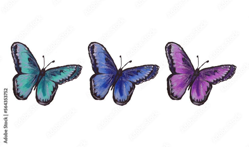 Flying butterfly on a white background in the set. Flying butterfly on a white background in the set.