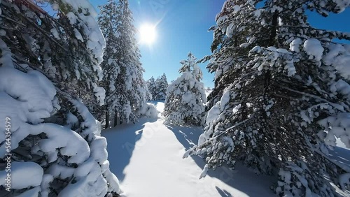 Paesaggio invernale, alberi carichi di neve.suggestive immagini con candida neve fresca. Winter landscape, trees laden with snow. Aerial shot photo