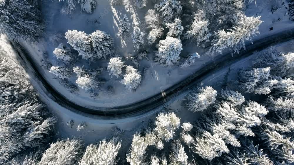 Paesaggio invernale, alberi carichi di neve.
suggestive immagini con candida neve fresca.