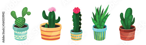 Green Indoor Garden Plants Growing Ceramic Pots Vector Set