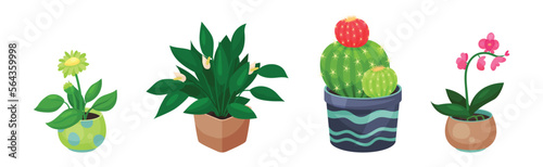 Green Indoor Garden Plants Growing Ceramic Pots Vector Set