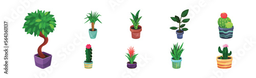 Green Indoor Garden Plants Growing Ceramic Pots Vector Set