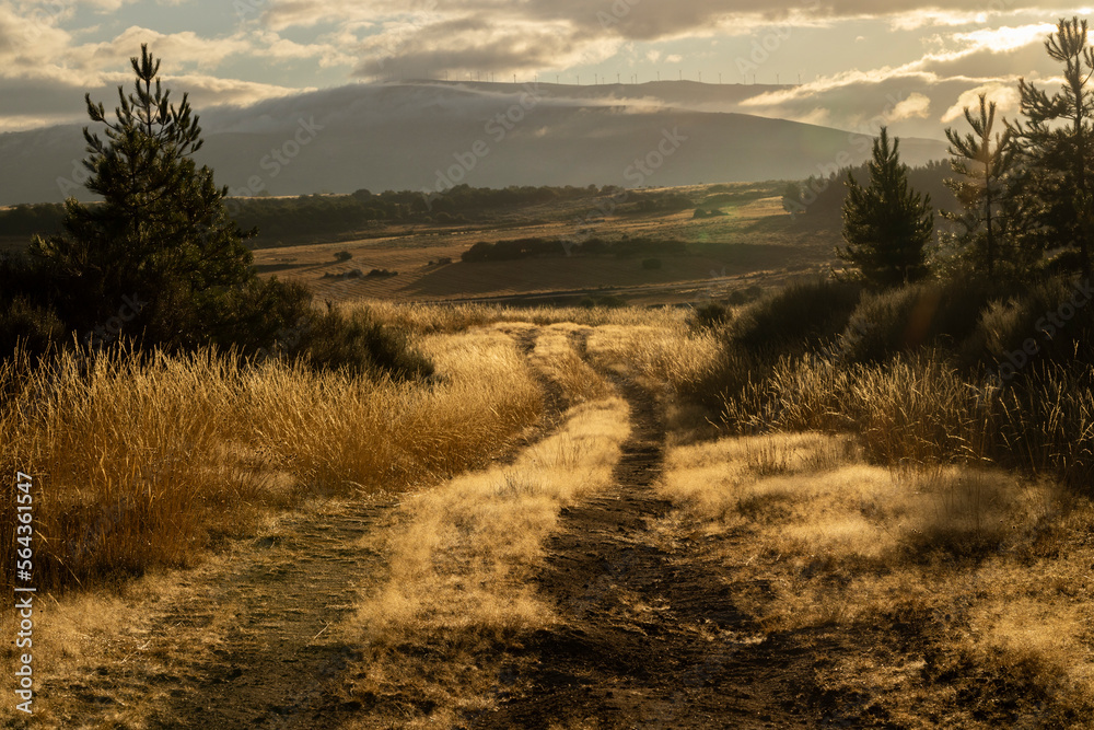 Obraz premium Galicia