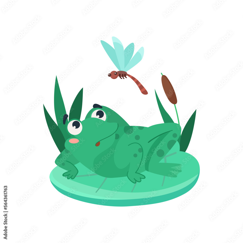 Fototapeta premium Comic frog looking at dragonfly in surprise vector illustration. Funny aquatic animal cartoon character sitting on lily leaf in swamp isolated on white background. Nature, wildlife concept