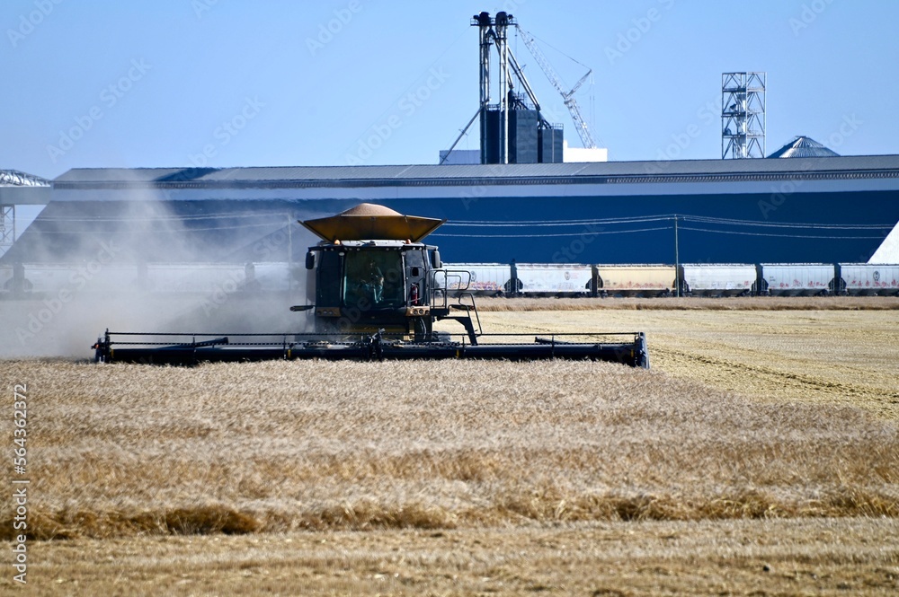 Fototapeta premium a combine at work in the field