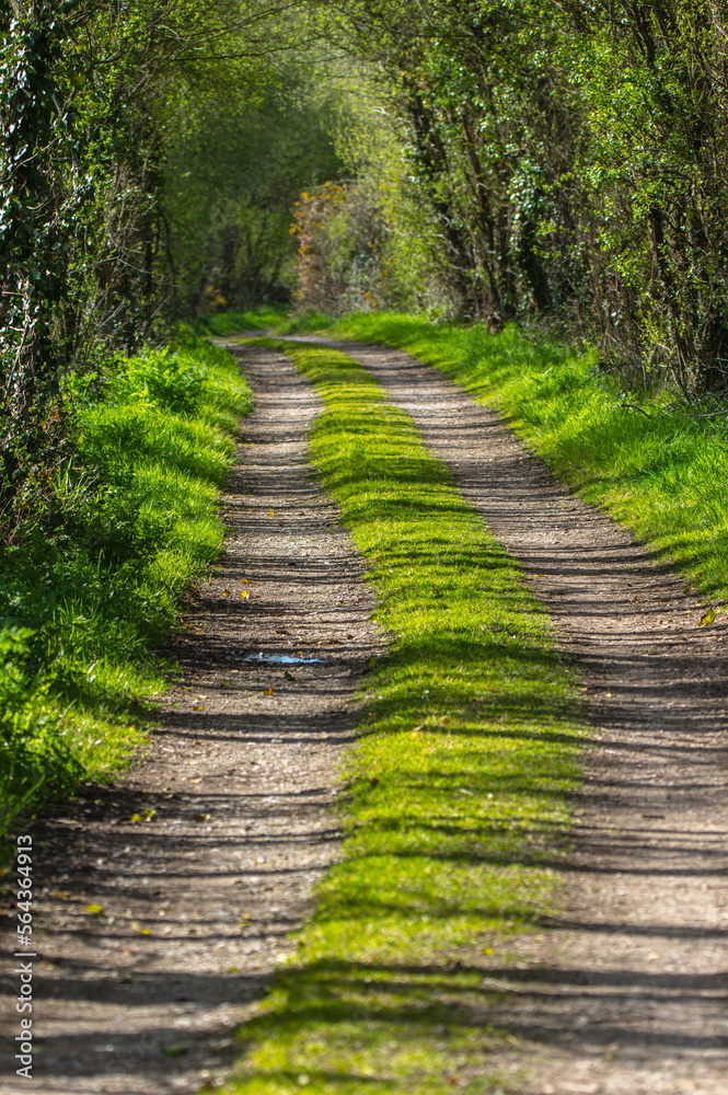 Chemin Breton Chemin Breton