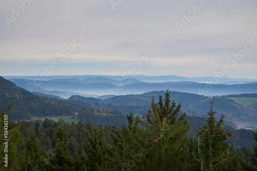 black forest with fog between the hills © Fizzl