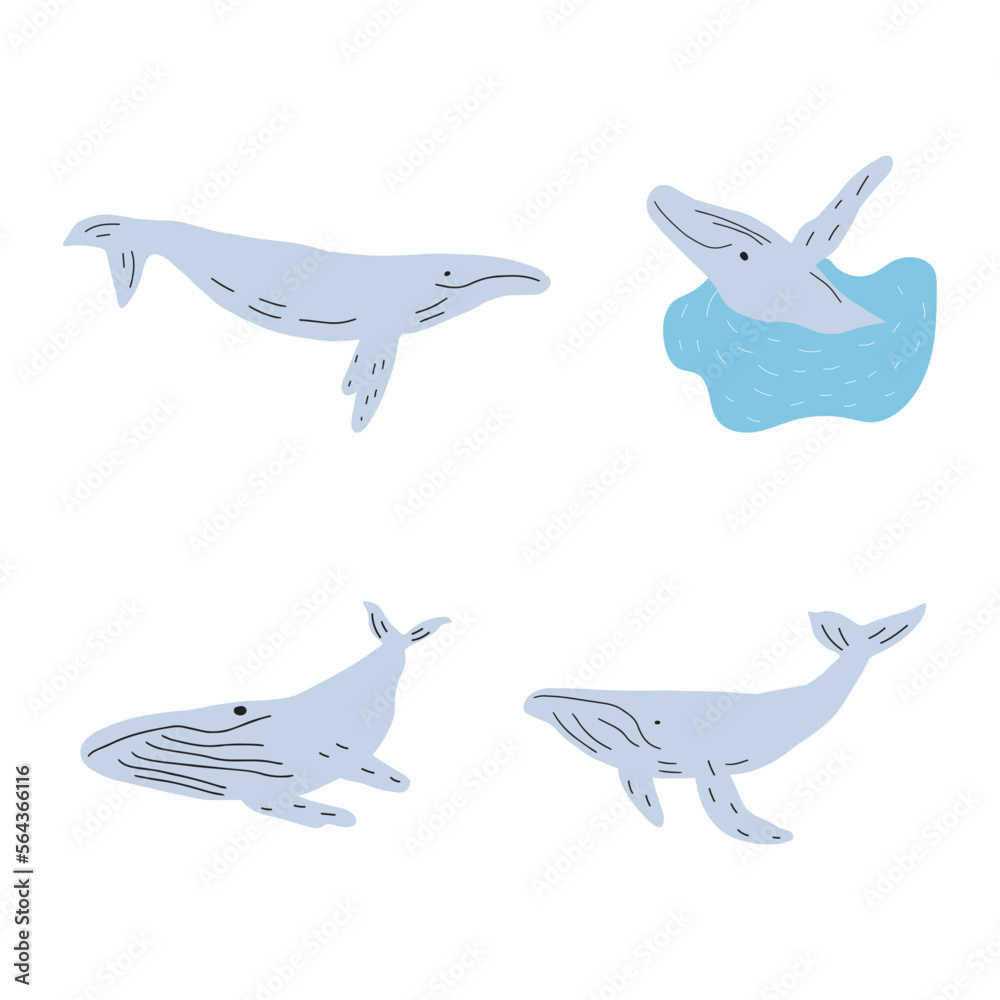 Whale, ocean animal. Sealife in Scandinavian style on a white background. Great for poster, card, apparel print. Vector illustration Whale, ocean animal. Sealife in Scandinavian style on a white background. Great for poster, card, apparel print. Vector illustration