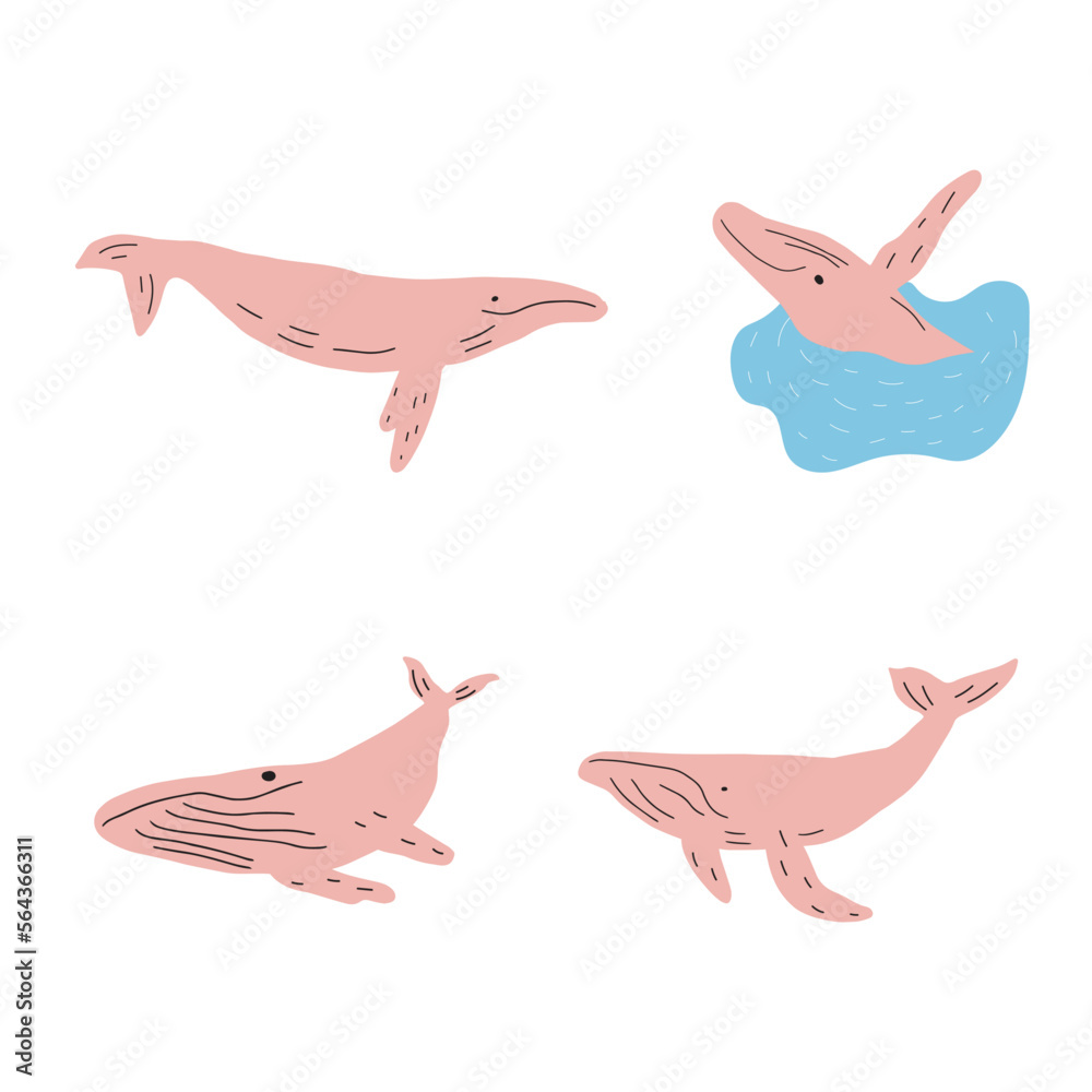 Whale, ocean animal. Sealife in Scandinavian style on a white background. Great for poster, card, apparel print. Vector illustration Whale, ocean animal. Sealife in Scandinavian style on a white background. Great for poster, card, apparel print. Vector illustration
