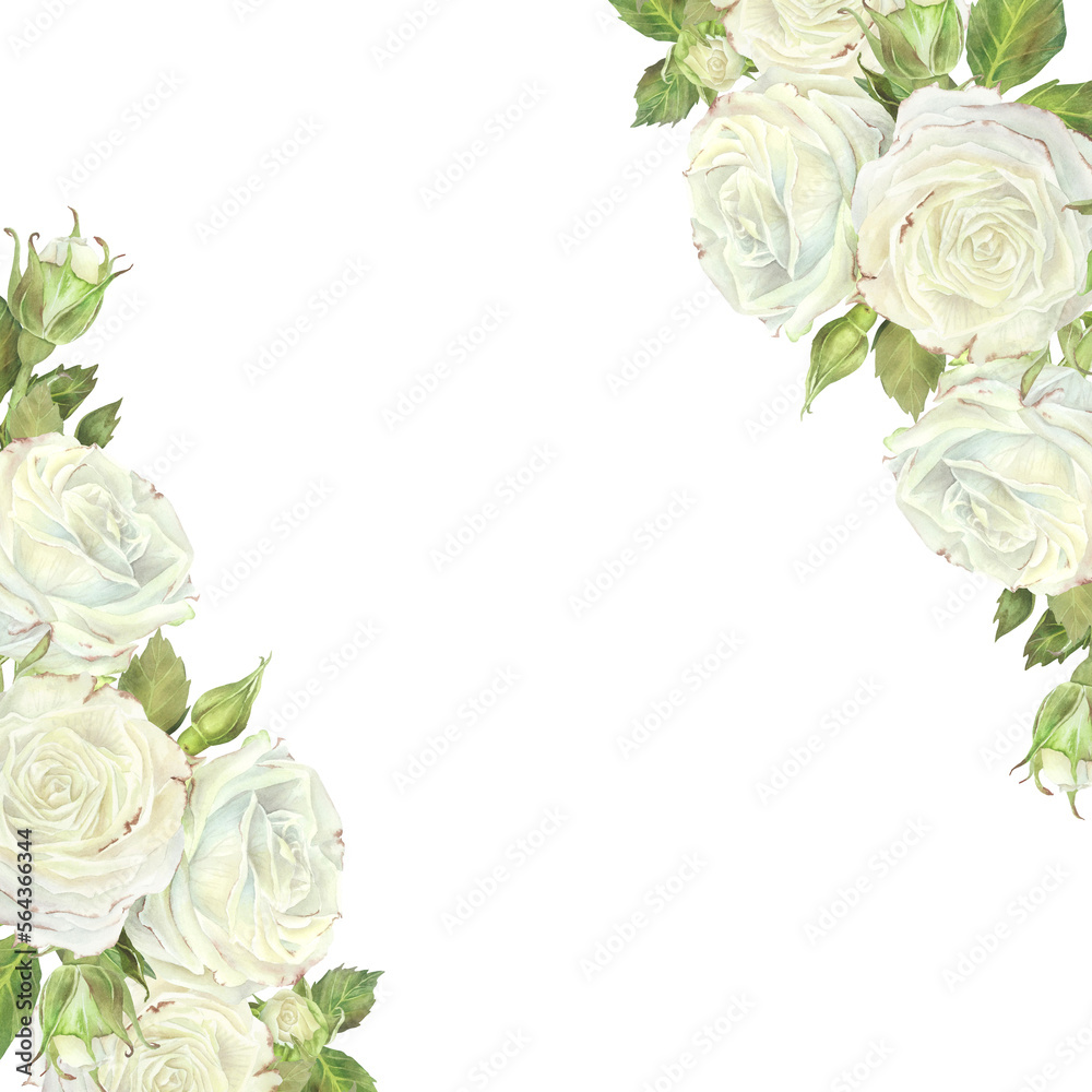 White Roses Frame Square Watercolor illustration. Square frame with corners decorated with white ...