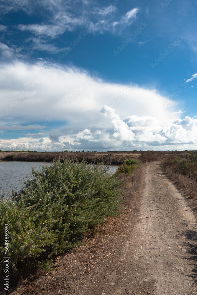 Bassins et marais salants de l'ile de Ré Bassins et marais salants de l'ile de Ré