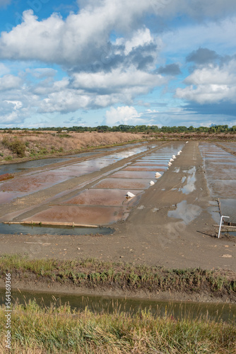 Bassins et marais salants de l ile de R  