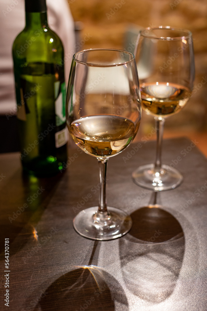 Tasting of different rioja wines, visit of winery cellars, Rioja wine making region, Spain Tasting of different rioja wines, visit of winery cellars, Rioja wine making region, Spain