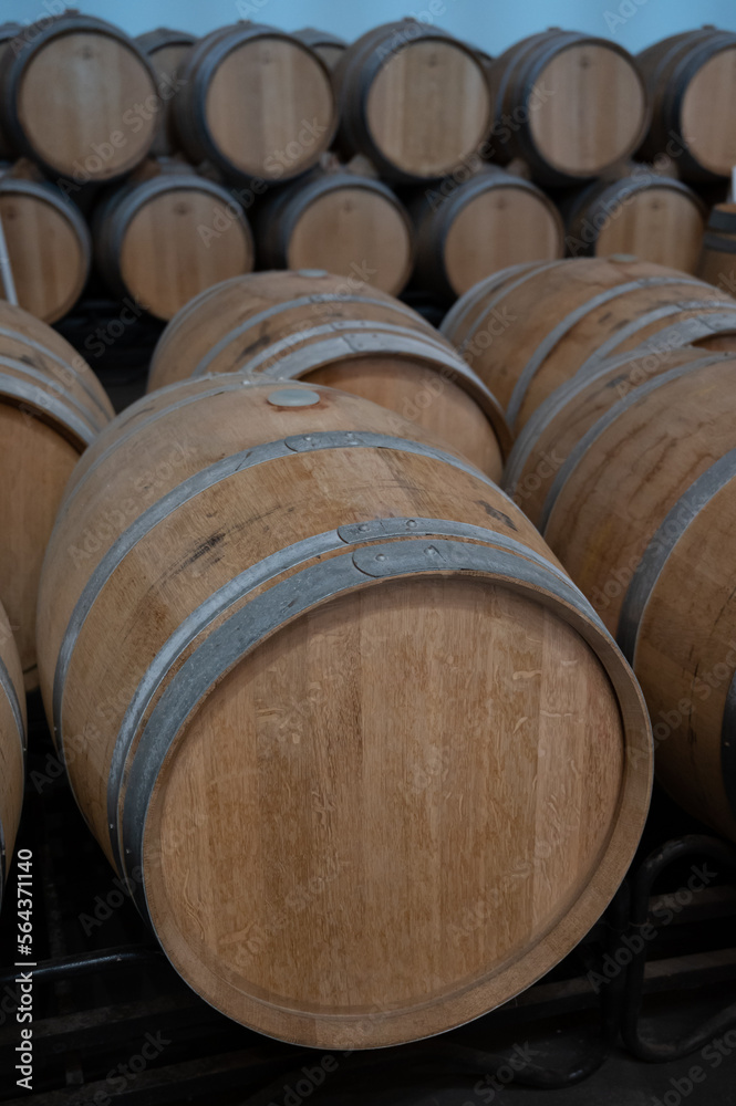 Rows of french and american oak barrels in cellars of winery in Rioja wine making region, Spain