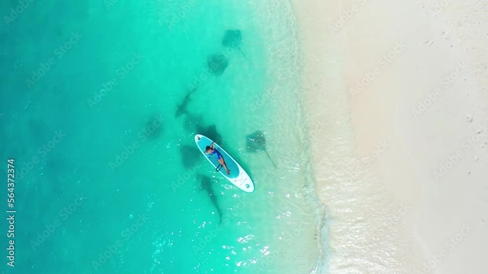 A little girl lying on a sup board in turquoise water with a white sand beach with stingray and sharks on Fulidhoo island in Maldives. Aerial top view