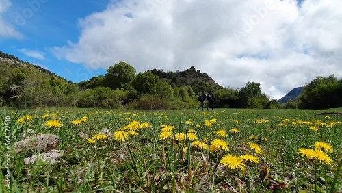 two men holding hands skipping in the green meadow with yellow flowers