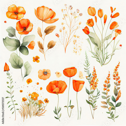 Fototapeta Naklejka Na Ścianę i Meble -  spring orange flowers clipart, vintage watercolor . Ai Generative