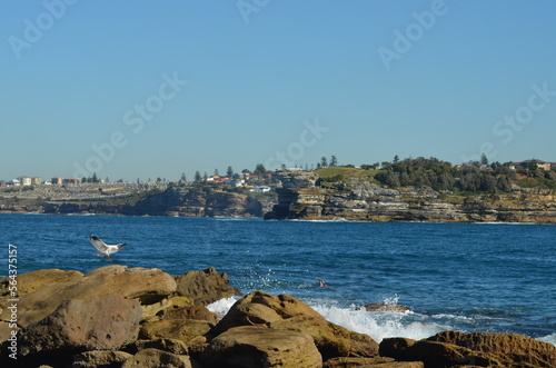 Bondi Beach 