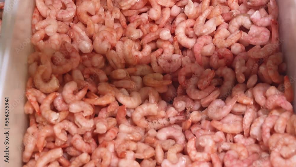 Frozen shrimp. Seafood on the counter. Fish market. Close-up shooting of seafood. Frozen shrimp. Seafood on the counter. Fish market. Close-up shooting of seafood.
