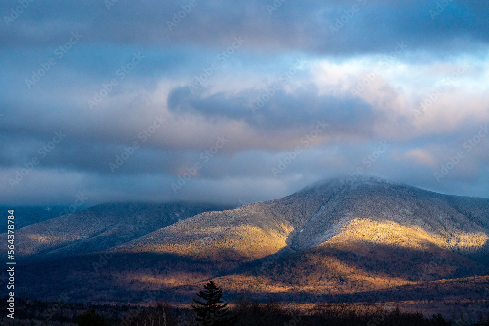 snow covered trees in white mountains national forest at golden hour