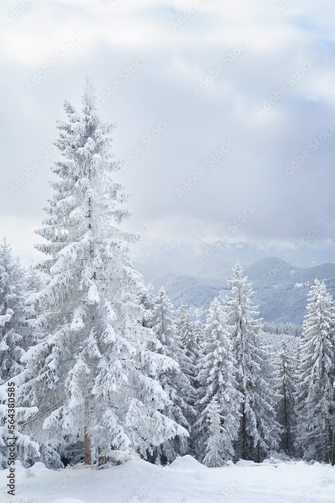 Winterlandschaft in den Ammergauer Alpen, Bayern, Deutschland