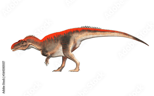 Acrocanthosaurus was a type of carcharodontosaurid dinosaur that lived during the early Early Cretaceous in what is now North America. Isolated on a white background. © Daniel Eskridge