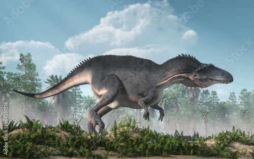 Acrocanthosaurus was a type of carcharodontosaurid dinosaur that lived during the early Early Cretaceous in what is now North America. It's distinguishing feature is a set of neural spines on its back © Daniel Eskridge