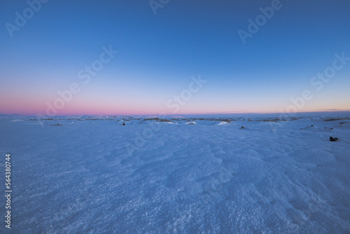 Flat landscape to the horizon covered in snow and illuminated by the magical purple colored Icelandic sunrise light. © sirbouman