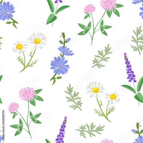 Wild meadow herbs and flowers seamless pattern. Botanical floral background. Vector cartoon illustration of clover, chamomile, chicory, wormwood and sage.
