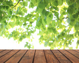 An empty brown wooden table against a background of green young leaves.