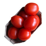 red tomatoes in cardboard packaging, isolated on a white background with a clipping path.