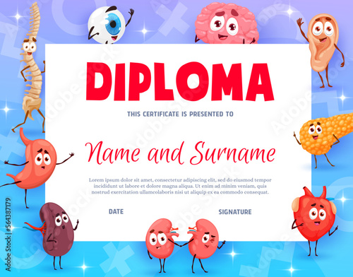 Kid diploma certificate of young doctor, cartoon funny human body organs, vector background. Children school or kindergarten medical classes graduate diploma with heart, brain, kidney and liver