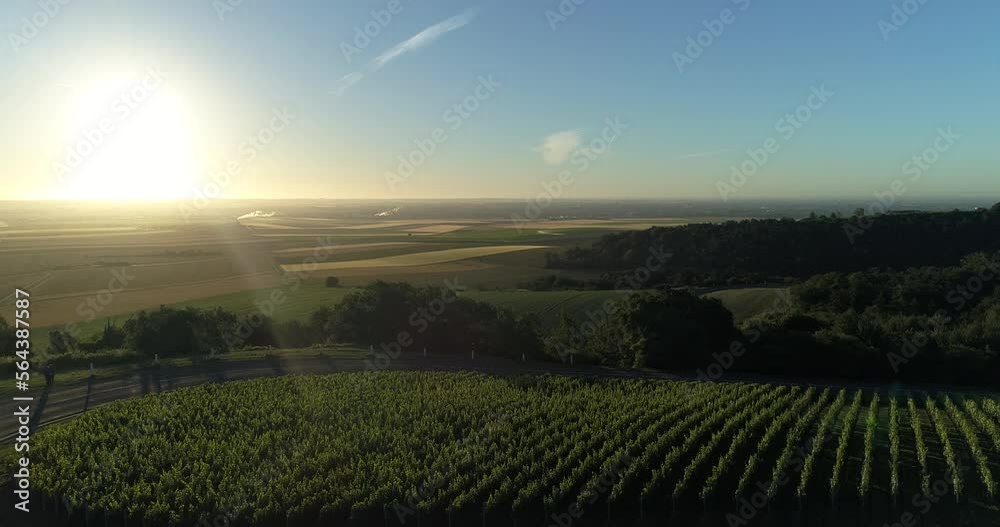 Vue aérienne Vignes au printemps lever de soleil - France