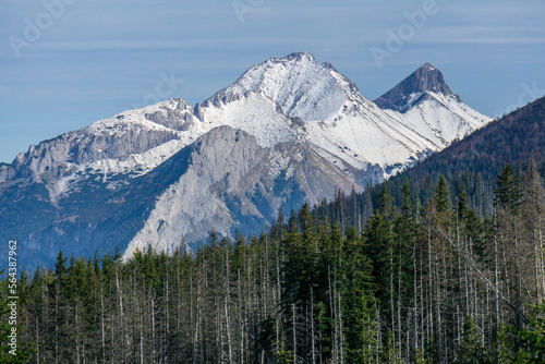 View of the peaks of the Belianske Tatras.