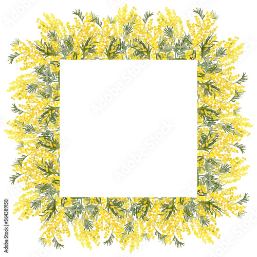 Square floral frame mimosa flowers