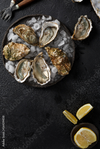 Open wet oysters on a plate with lemon and ice cubes and oysters knife, black background, top view photo