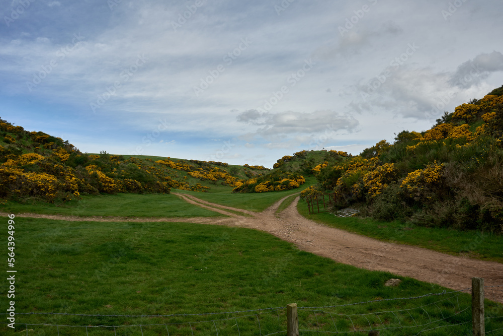 Fototapeta premium Dirt roads intersection in the green hills of Aberdeenshire