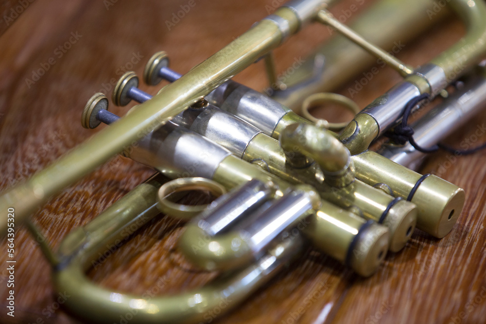 Naklejka premium Detail of wind instrument