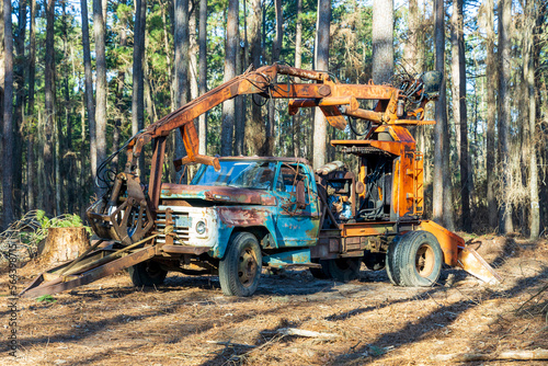Abandoned non-working broken construction equipment in the forest near Caddo lake in Texas photo